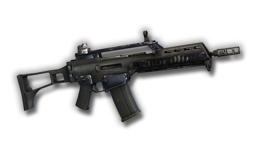 G36