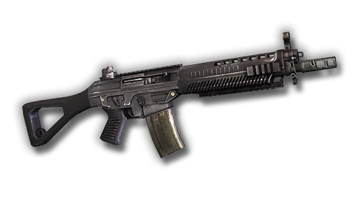SIG SAUER 556
