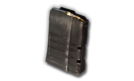 VSS-10