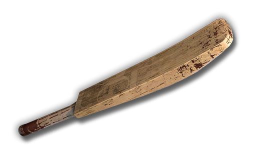 Cricket bat