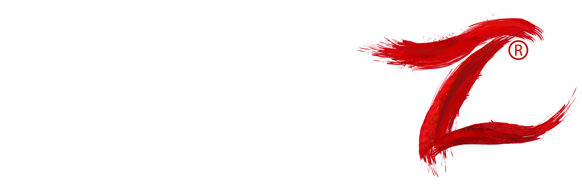 rigorz_logo_beyaz.png